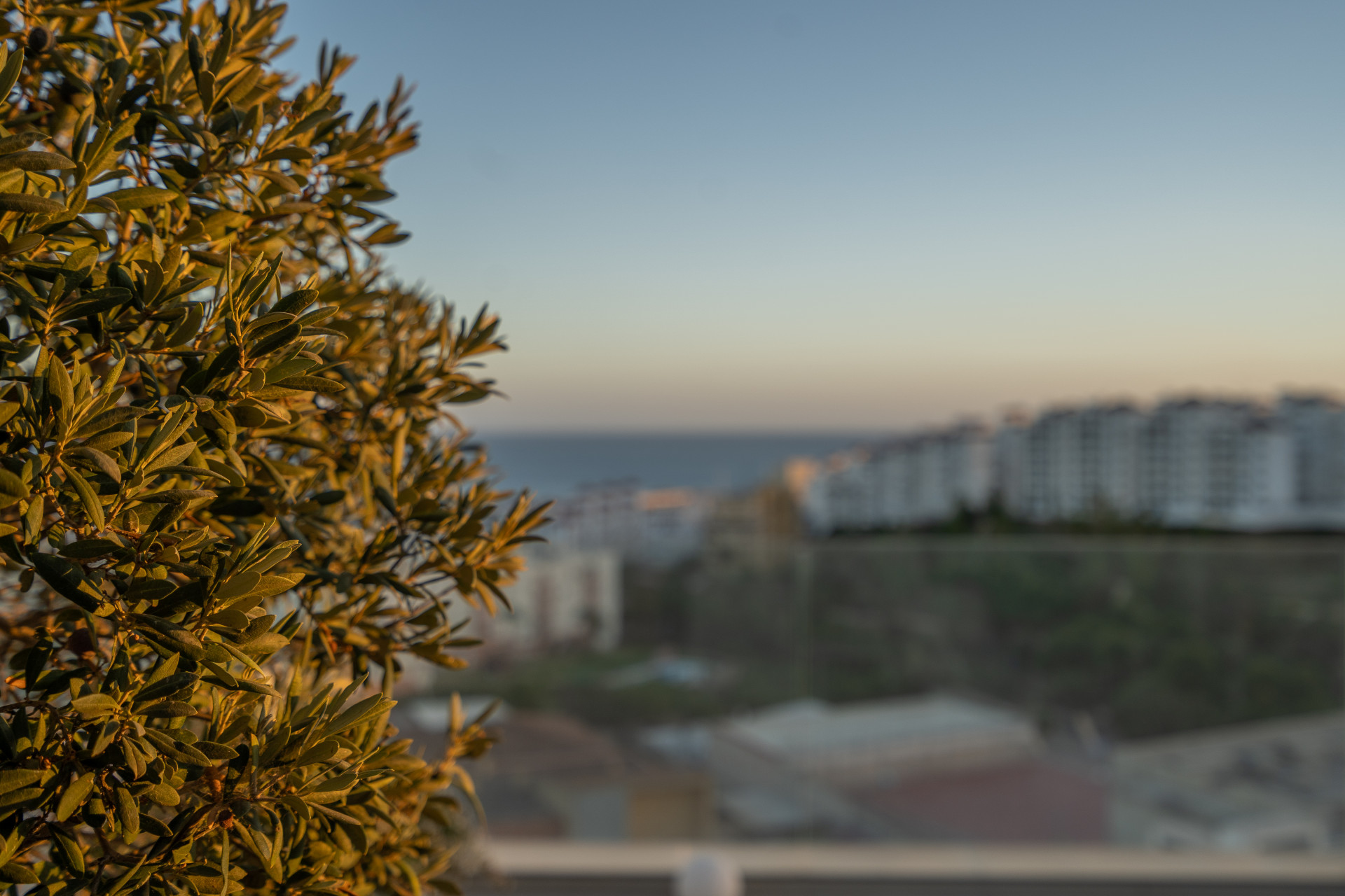 B98Le8~d7M9k3DegpEFZhS0lI_F8U4XZVz~HWxt~mGgYekxX9nCAxh0ZipZlAjNxEM6s1ur~IyRoHk21zVXx39XWT2c~BUnXsNvQtr29ra_j0KmaY4mQbqSWgsV9PfeiNYxAT5lbzUC8DyzAdWMd