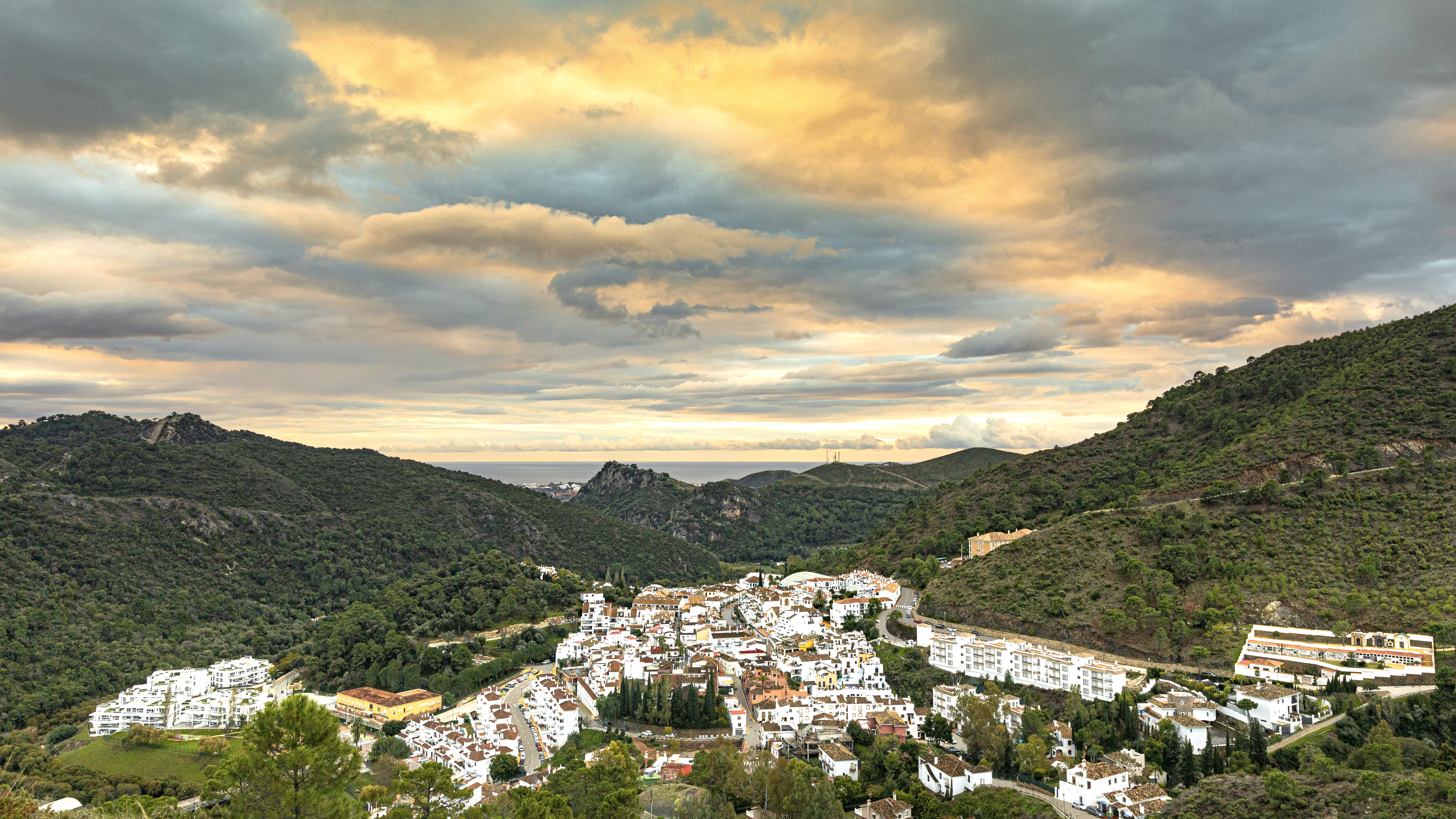 Fuente Lirios_19