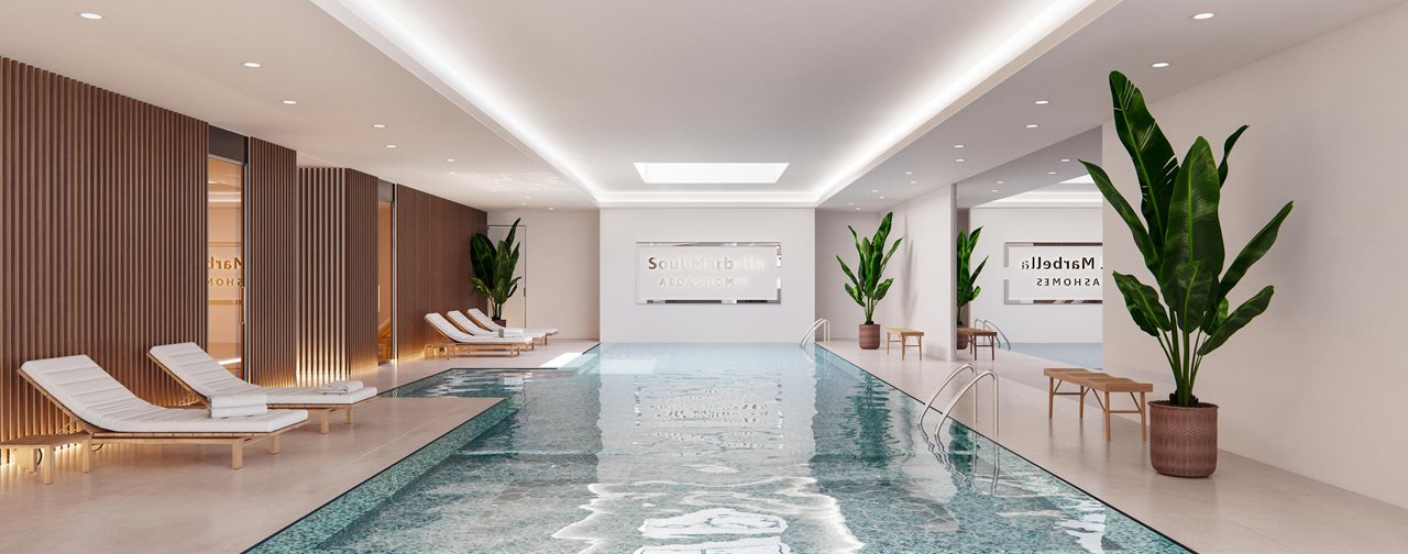 Soul Penthouse 1699-25