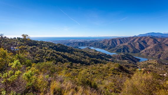 Almazara Views_14 image