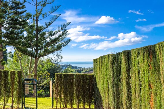 B98Le8~d7M9k3DegpEFZhS0lI_F8U4XZVz~HWxt~mGgYekxX9nCAxh0ZipZlAjNxEM6s1ur~IyRoHk21zVXx39XWT2MBsL2MVasgKI46LEIM7BSk~Xh_unj~_KdYAnob4csvL7z6qDr3tyPfcpxH image