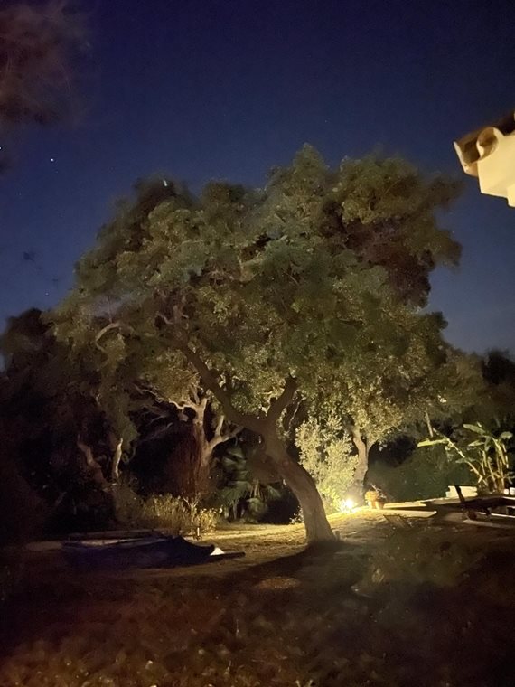 B98Le8~d7M9k3DegpEFZhS0lI_F8U4XZVz~HWxt~mGgYekxX9nCAxh0ZipZlAjNxEM6s1ur~IyRoHk21zVXx39XWTj0JB2QipJgXHPcvdCuKZgVuoCnWIhESozGOgWEO5a1f1pfd2xH0F7mLV7Mn image