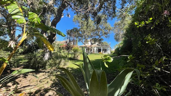 B98Le8~d7M9k3DegpEFZhS0lI_F8U4XZVz~HWxt~mGgYekxX9nCAxh0ZipZlAjNxEM6s1ur~IyRoHk21zVXx39XWTj0JB2Qm6A5ERc04bmfmE3DzEbP6PYg6ldbB7gdj9EdAnGyxmNMgkGIJgVyN image