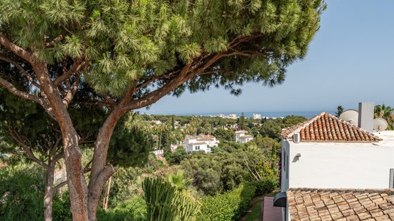 Fotos Villa Cinco Calahonda_35 image