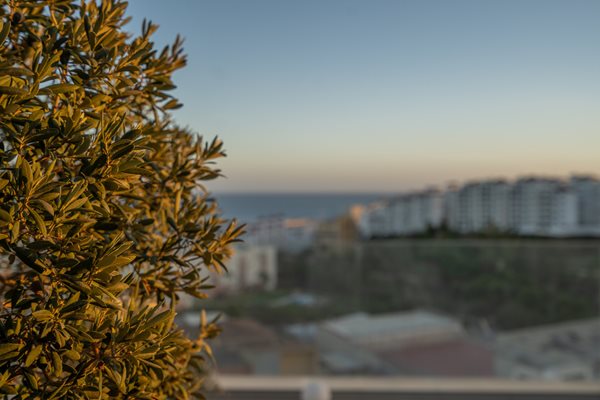 B98Le8~d7M9k3DegpEFZhS0lI_F8U4XZVz~HWxt~mGgYekxX9nCAxh0ZipZlAjNxEM6s1ur~IyRoHk21zVXx39XWT2c~BUnXsNvQtr29ra_j0KmaY4mQbqSWgsV9PfeiNYxAT5lbzUC8DyzAdWMd