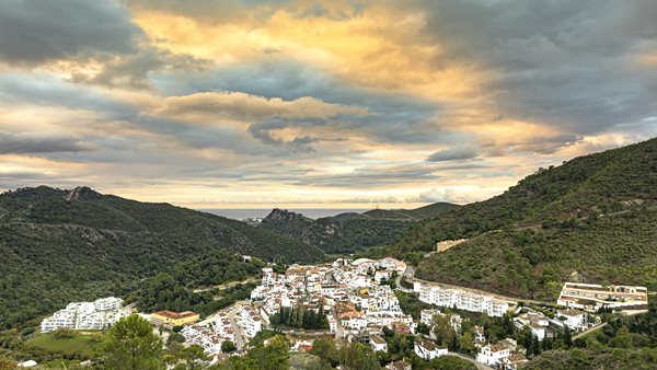 Fuente Lirios_19